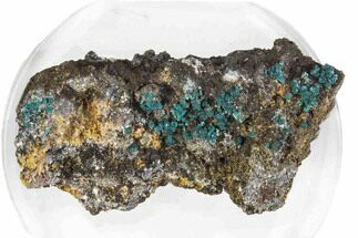 Teal Blue Rosasite on Goethite - Mexico #372782