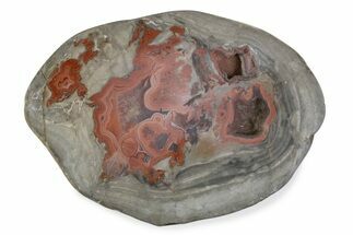 Polished Devil's Red Agate - TeePee Canyon, South Dakota #373396