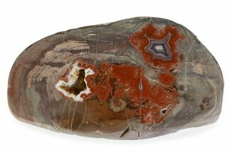 Polished Devil's Red Agate Slab - TeePee Canyon, South Dakota #373402