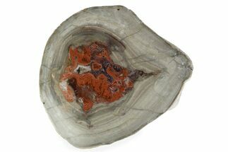 Polished Devil's Red Agate - TeePee Canyon, South Dakota #373404