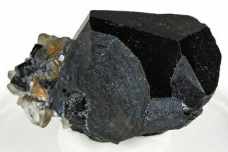 Black Tourmaline (Schorl) Crystal with Smoky Quartz - Namibia #373625