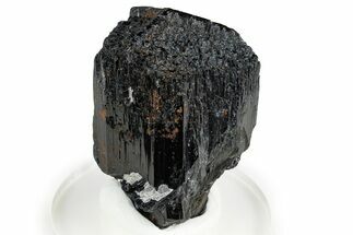 Lustrous Black Tourmaline (Schorl) Crystal - Namibia #373629
