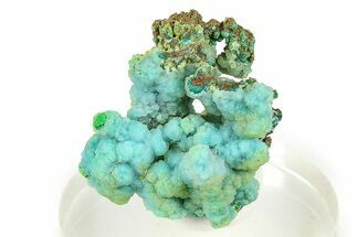 Vibrant Green Conichalcite with Chrysocolla - Namibia #373636