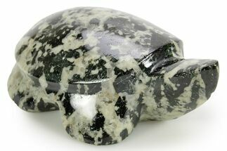 Carved Riebeckite Granite Turtle - Alaska #373639