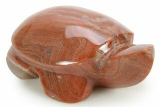 Polished Potato (Dulcote) Agate Turtle - England #373655