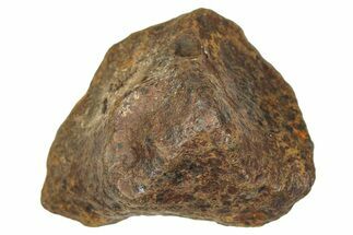 Mundrabilla Iron Meteorite ( g) - Australia #374327