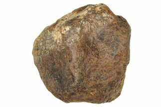 Mundrabilla Iron Meteorite ( g) - Australia #374350