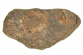 Mundrabilla Iron Meteorite ( g) - Australia #374354