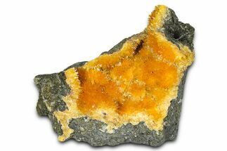 Intense Orange Calcite Crystal Cluster - Poland #374615