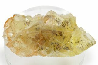 Yellow Fluorite Cluster - Spain #374271
