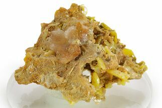 Bright Yellow Wulfenite on Dolomite - Morocco #375152