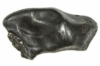 Fusion Crusted Sikhote-Alin Iron Meteorite ( g) - Russia #375326
