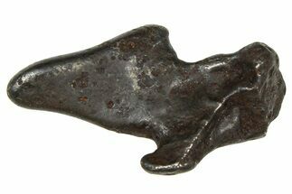 Fusion Crusted Sikhote-Alin Iron Meteorite ( g) - Russia #375328