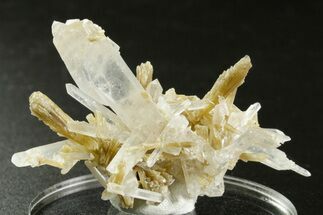 Clinozoisite and Quartz Crystal Cluster - Peru (New Find) #375587