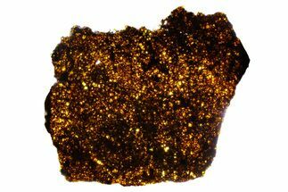 Polished Diogenite Meteorite ( g) Slice - NWA #375693
