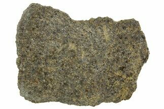 Polished Diogenite Meteorite ( g) Slice - NWA #375681
