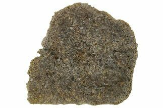 Polished Diogenite Meteorite ( g) Slice - NWA #375698