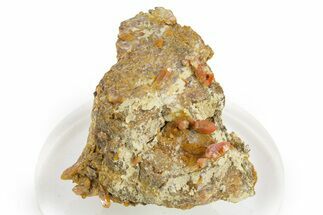 Vibrant Red-Orange Vanadinite Crystals - Western Mine, Arizona #375669