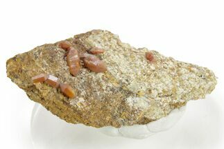 Vibrant Red Vanadinite Crystals - Western Mine, Arizona #375675