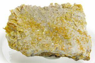 Bright Yellow Wulfenite on Calcite - Iran #375743
