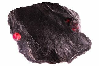 Plate of Three Red Embers Garnets in Graphite - Massachusetts #375805