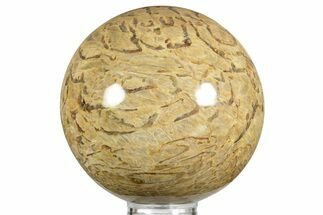 Polished Graphic Feldspar Sphere - Madagascar #375831