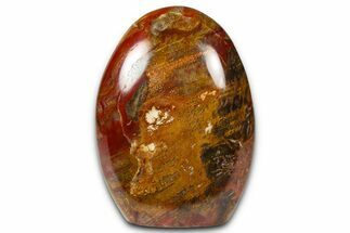 Free-Standing, Polished Petrified Wood - Madagascar #376093