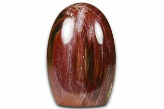 Free-Standing, Polished Petrified Wood - Madagascar #376098