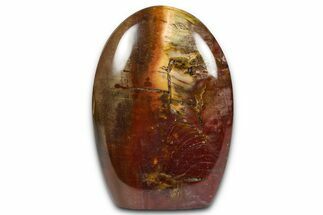 Free-Standing, Polished Petrified Wood - Madagascar #376103