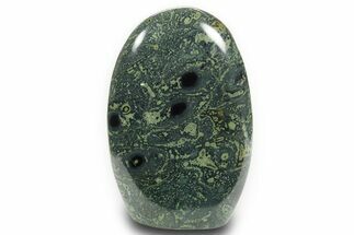 Free-Standing, Polished Kambaba Jasper - Madagascar #376170