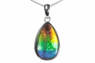 Stunning Ammolite Tear Drop Pendant - Sterling Silver #376229