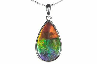 Stunning Ammolite Tear Drop Pendant - Sterling Silver #376233