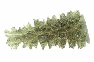 Green Moldavite Tektite ( g) - Besednice, Czech Republic #376282