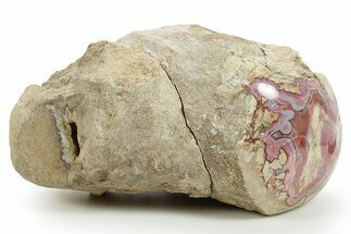 Colorful Polished Banded Agate Nodule - Utah #373509