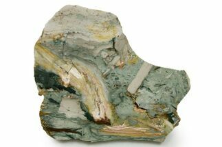 Gary Green Jasper (Larsonite) Bog Wood Slab - Oregon #377737