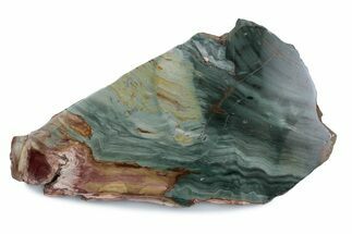Gary Green Jasper (Larsonite) Bog Wood Slab - Oregon #377745