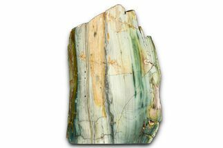 Freestanding Gary Green Jasper (Larsonite) Bog Wood - Oregon #377820