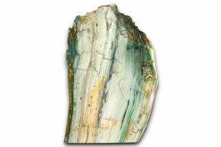 Freestanding Gary Green Jasper (Larsonite) Bog Wood - Oregon #377833