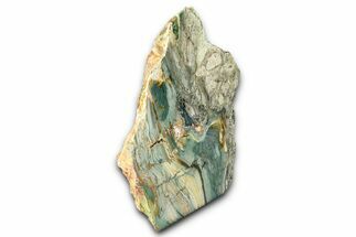 Freestanding Gary Green Jasper (Larsonite) Bog Wood - Oregon #377862