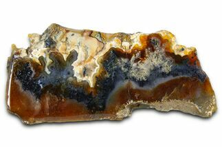 Polished Trent Agate With Stibnite & Realgar - Oregon #378034