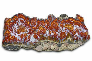 Wingate Pass Plume Agate Slab - California #378059