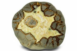 Polished Septarian Slab - Utah #378555