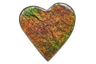 Flashy Ammolite (Fossil Ammonite Shell) Heart - Greens & Yellows #378474