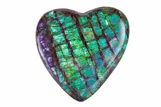 Flashy Ammolite (Fossil Ammonite Shell) Heart - Greens & Purples #378549
