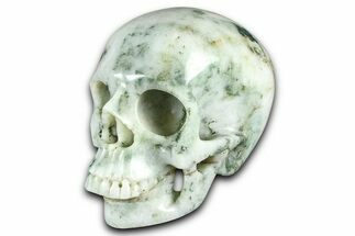 Realistic, Polished Tree Agate Skull #378618