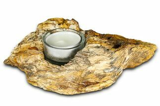 Petrified Wood Candle Holder - Madagascar #378670