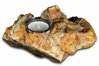 Petrified Wood Candle Holder - Madagascar #378689