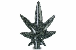 Kambaba Jasper “Maple Leaf” Sculpture or Soap Dish #378846