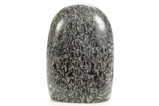 Freestanding Polished Graphic Tourmaline - Madagascar #378853