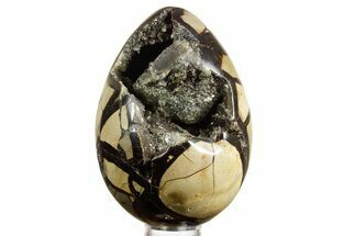 Septarian Dragon Egg Geode - Sparkly Black Crystals #378950